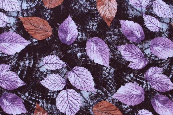 Polyester stretch dress fabric leaves black