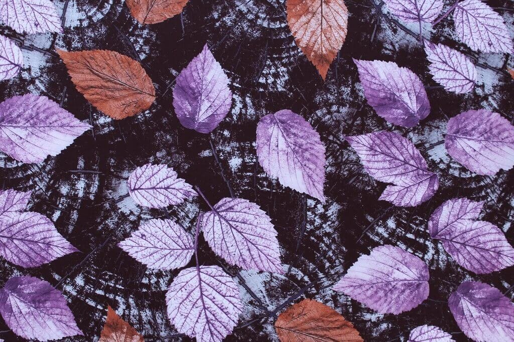 POLYESTER STRETCH DRESS FABRIC DES.10/2 BLACK BACKGROUND Polyester stretch dress fabric leaves black